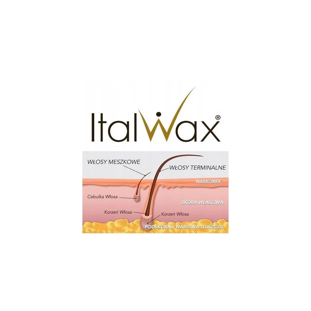 Cera dura in gocce POUR HOMME – ItalWax - immagine 2