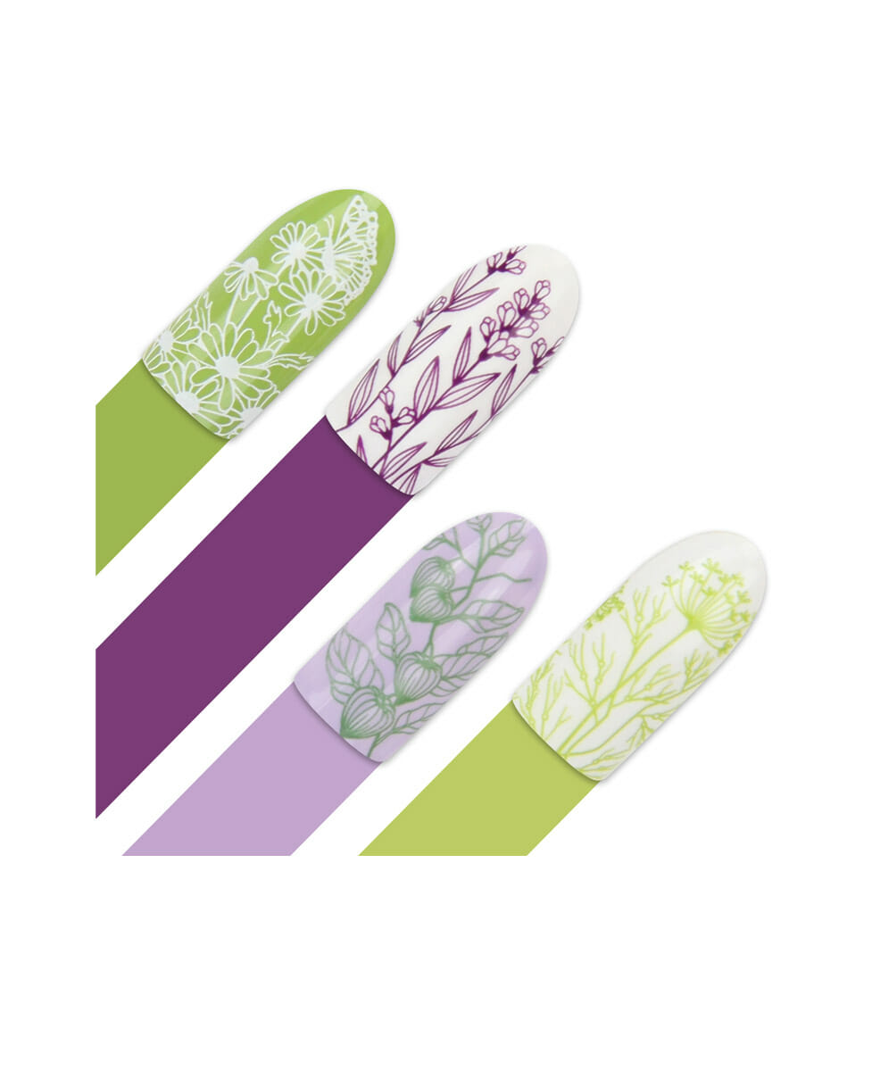 Piastra Stamping Moyra® 91 – Spicery – 9,5cm x 14,5cm - immagine 4