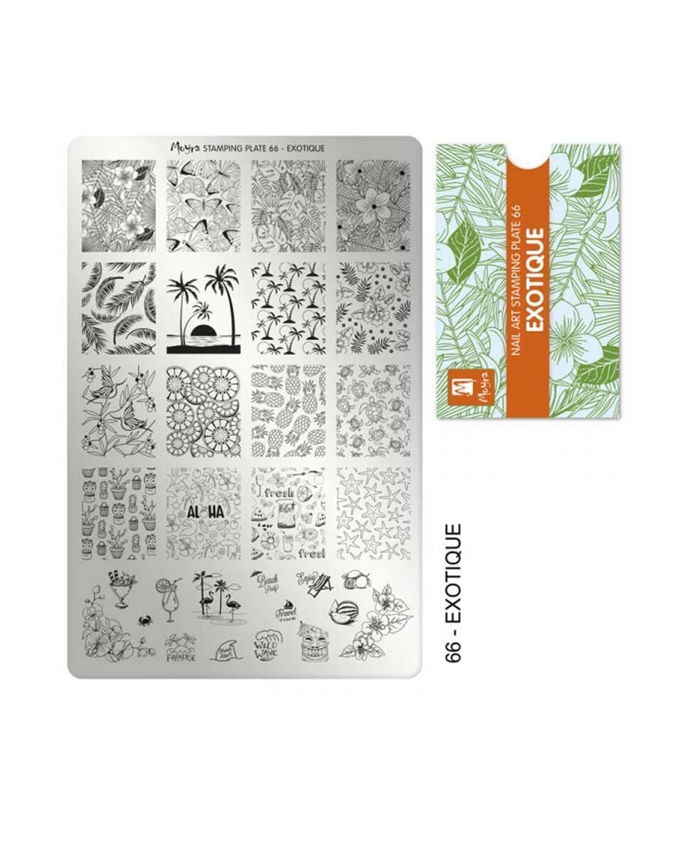 Piastra Stamping Moyra® 66 – Exotique – 9,5cm x 14,5cm